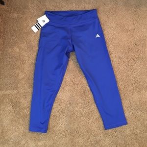 Adidas Climate Work Out Pants - Cobalt Blue